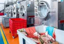 laundry industry